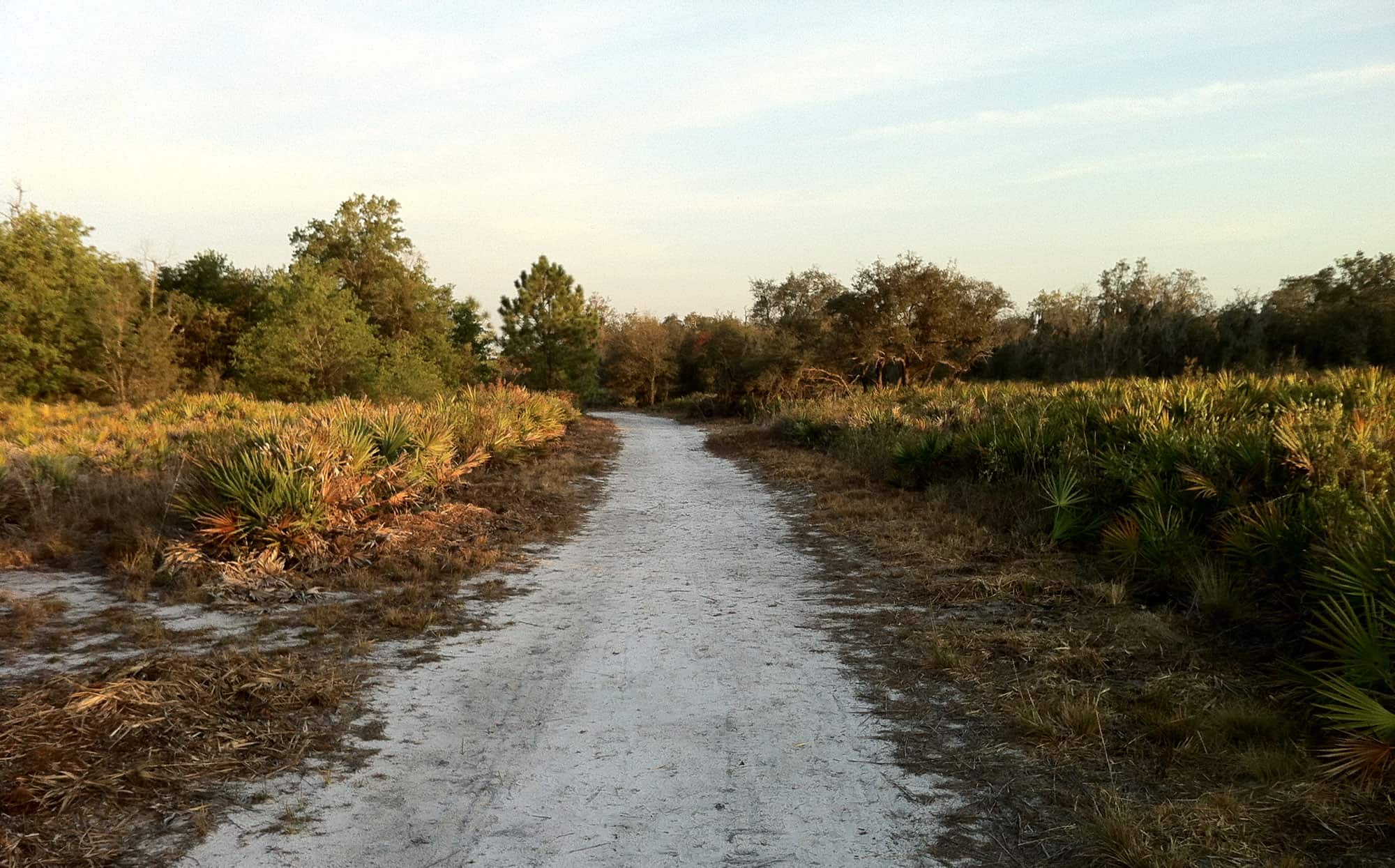 Lakeland Highlands, FL